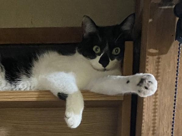 出所：@00shitemita