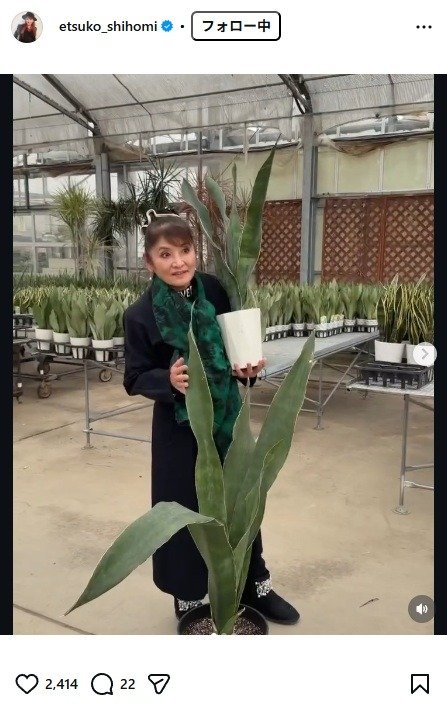 出所：志穂美悦子のInstagram（＠etsuko_shihomi）　参照日：2026年3月9日