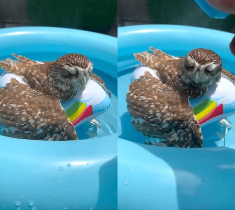 出所：@cr8673.hiro