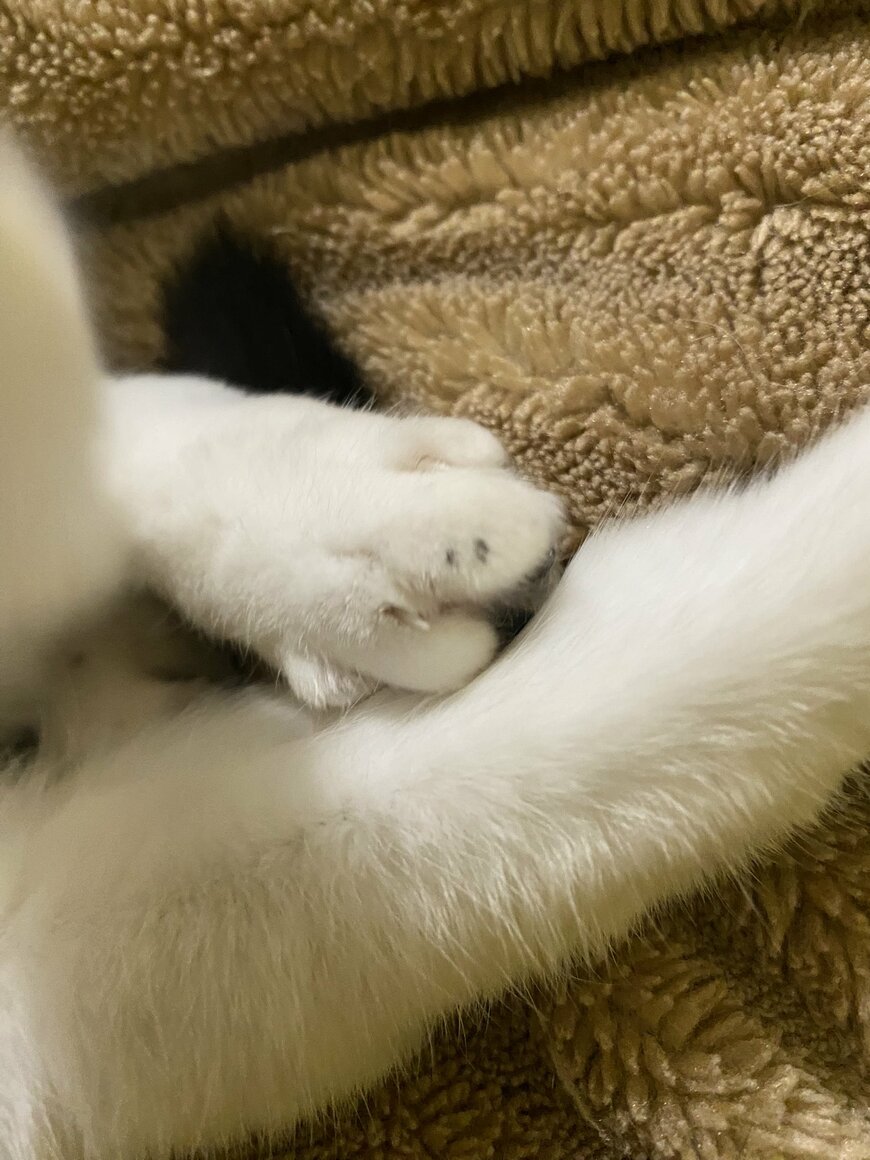 出所：@00shitemita