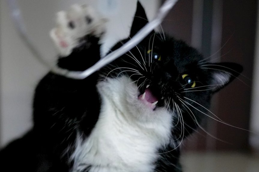 出所：@unicouniuni3