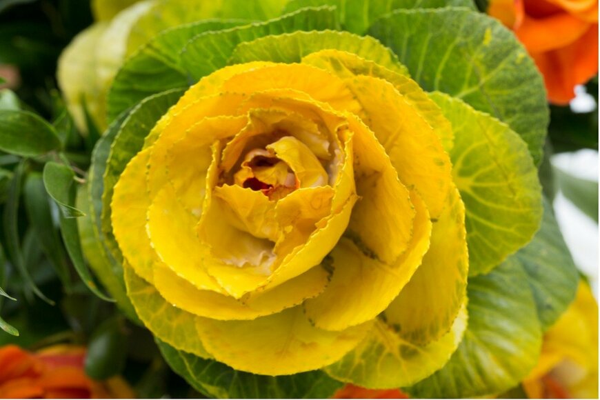 wjarek/istockphoto.com