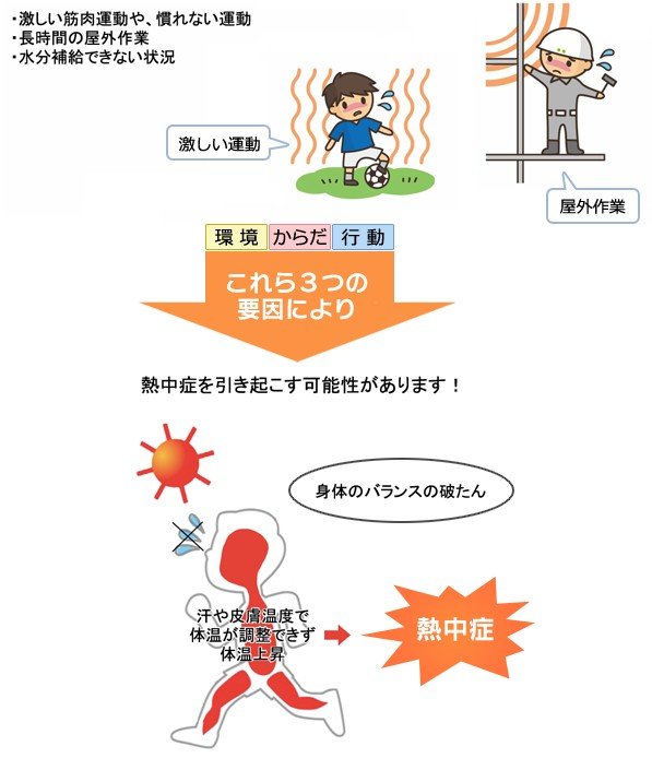 出所：環境省「熱中症関連情報」