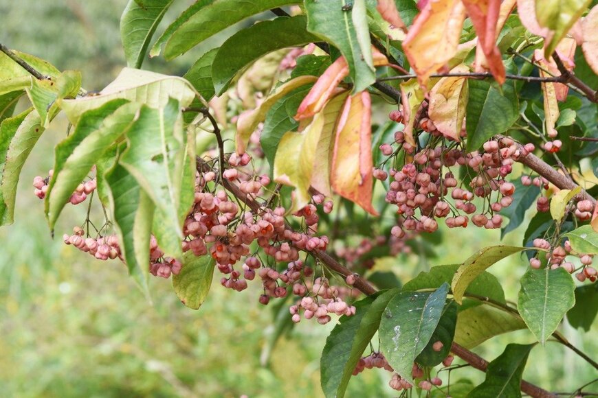 undefined undefined/istockphoto.com