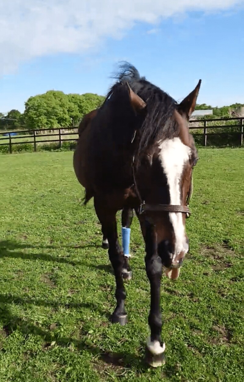 出所：Yogiboヴェルサイユリゾートファーム