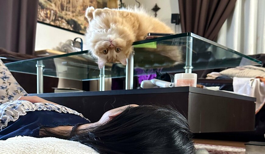 出所：@NEKOLAND13