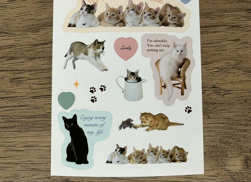筆者撮影(ダイソー、シートステッカー(猫文具、コラージュ))