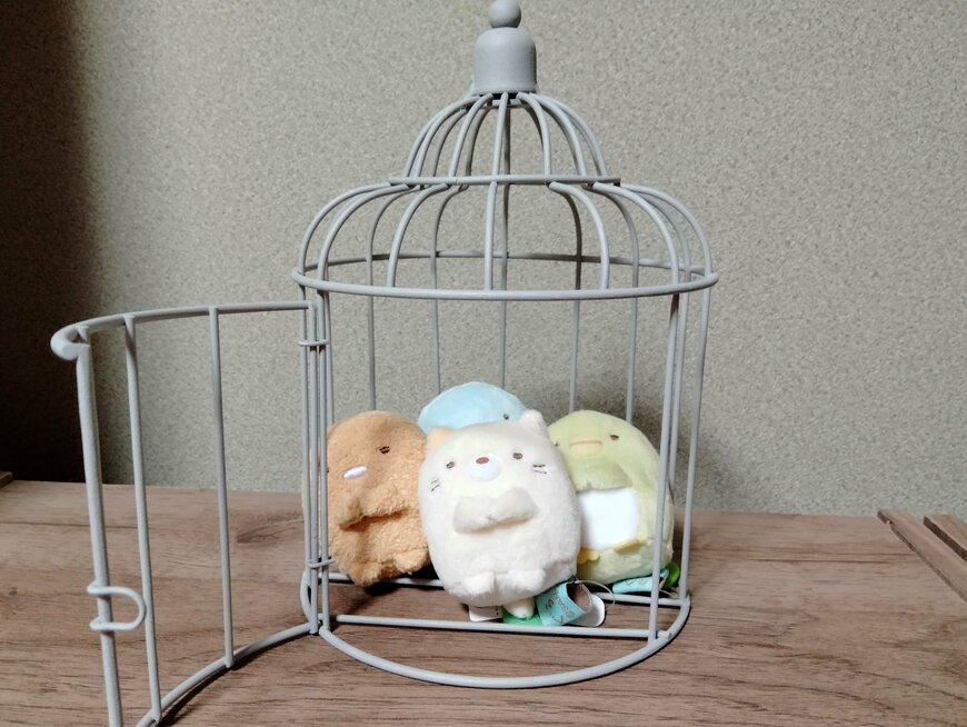 筆者撮影（ダイソー、アイアンインテリア（ケージ、直径13.5cm×19cm））