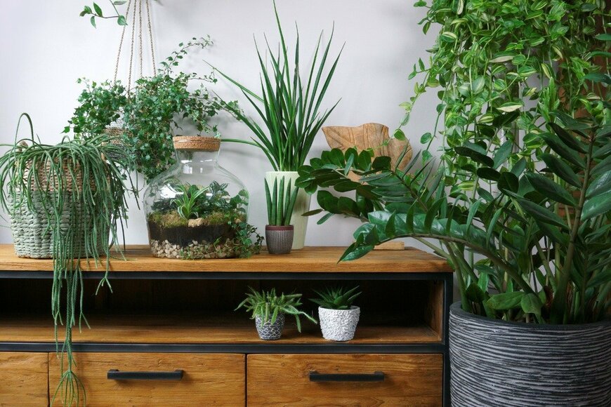 L Feddes/istockphoto.com