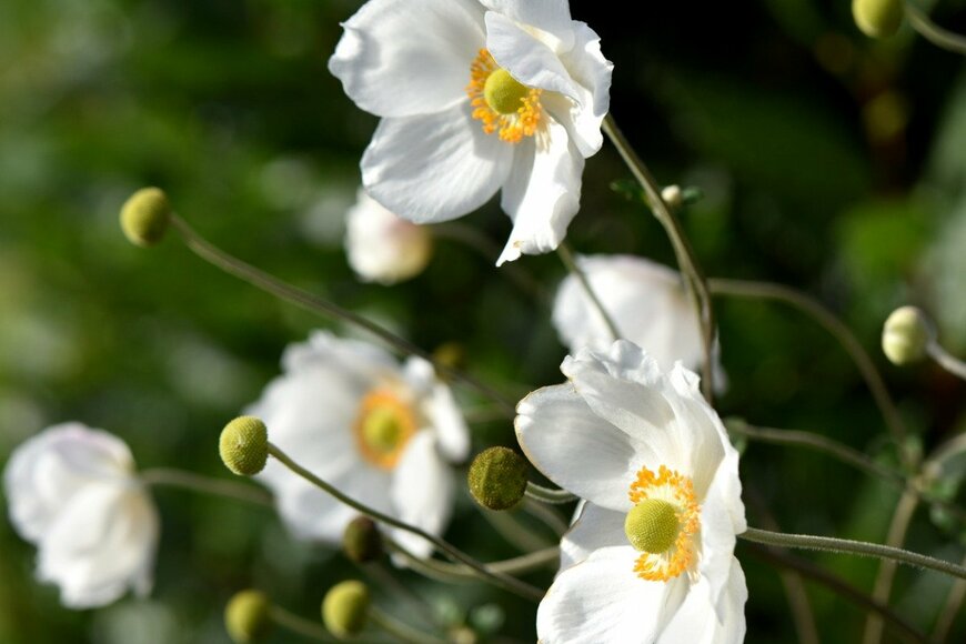 marjorie anastacio/istockphoto.com