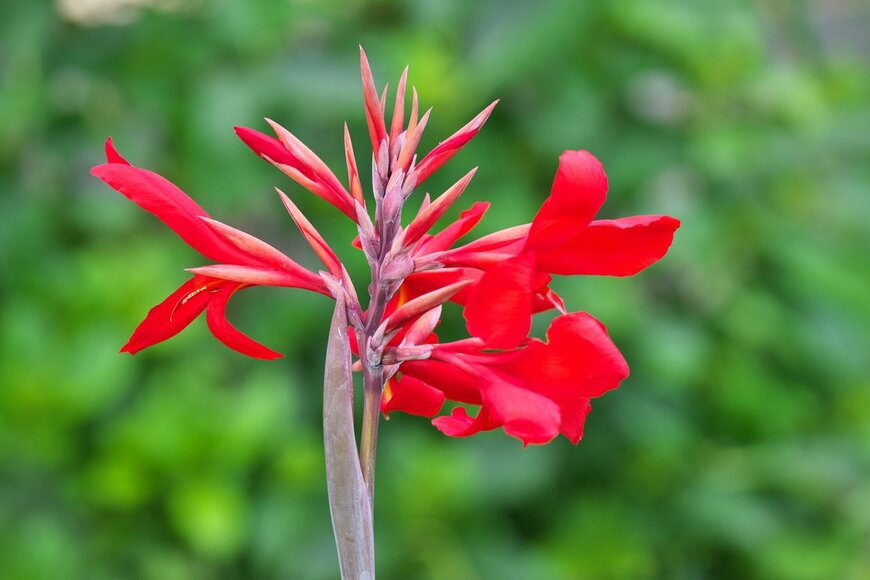 igaguri_1/istockphoto.com