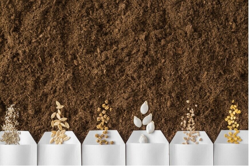 FotoDuets/istockphoto.com