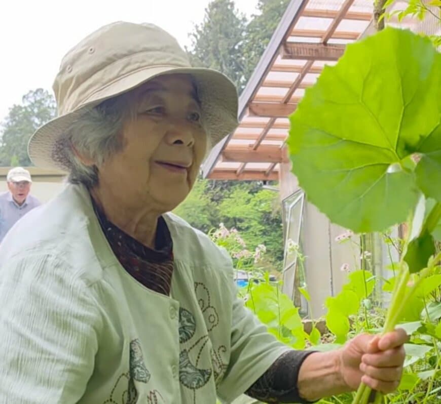 【80代の暮らし】おばあちゃんが“採れたての山菜”で作る特製料理に賞賛続出！収穫作業をする姿に「尊敬する」の声