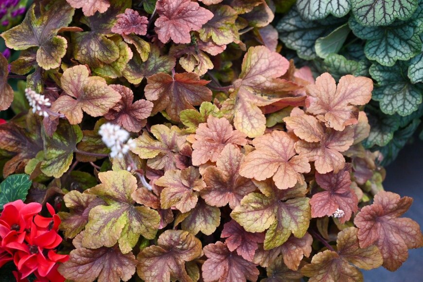 Azad Jain/istockphoto.com