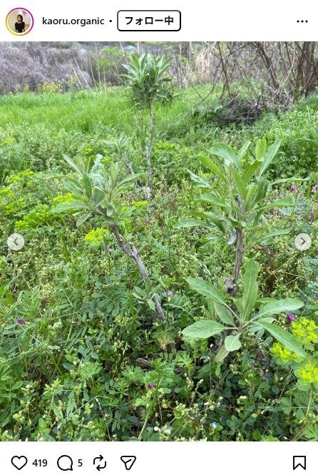 出所：杉田かおるのInstagram（＠kaoru.organic）　参照日：2026年4月10日