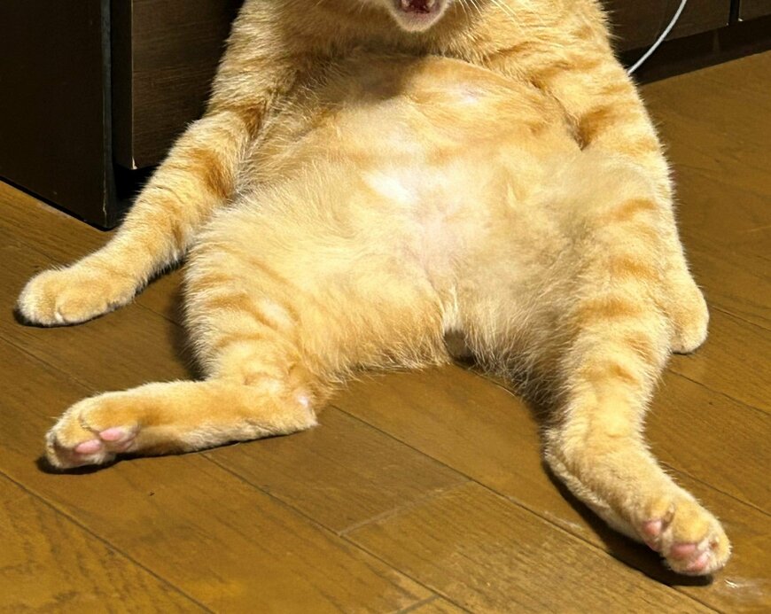 出所：@Beercat_Ana_Dar