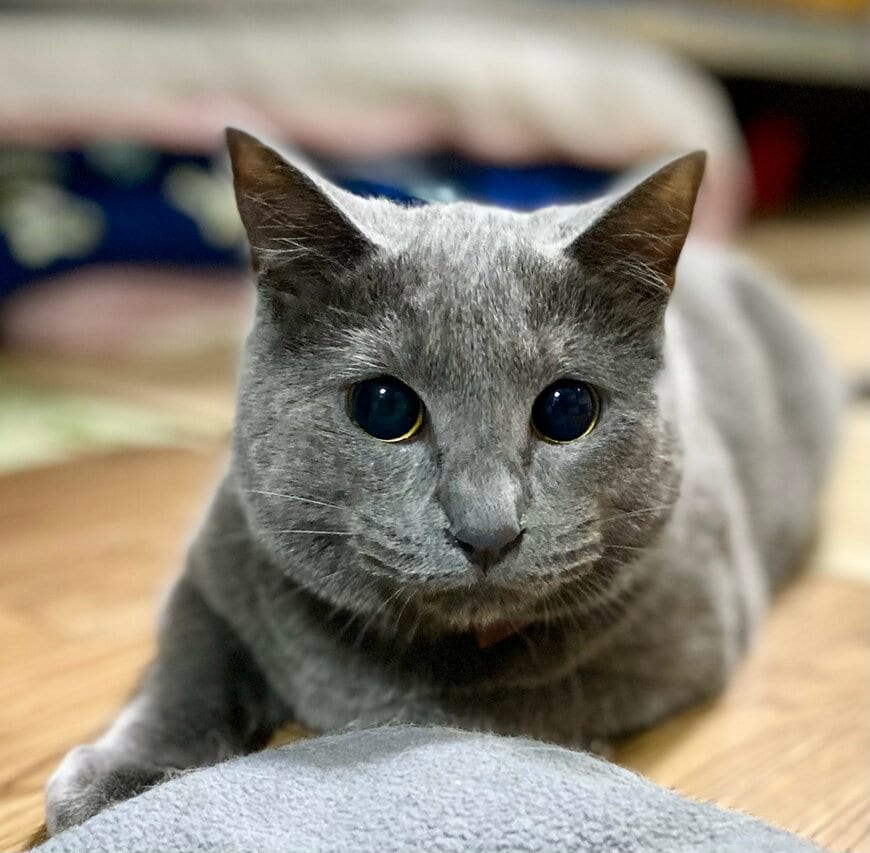 出所：@luna7taka9