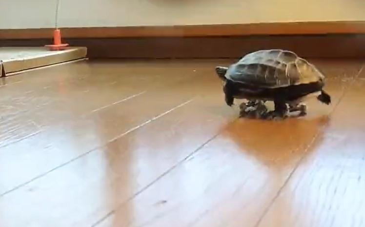 出所：@Mh0MLiErcV8E97C