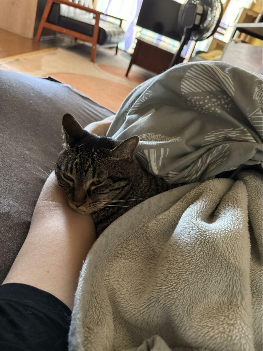 出所：@00shitemita