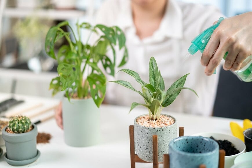 DG FotoStock/shutterstock.com/shutterstock.com