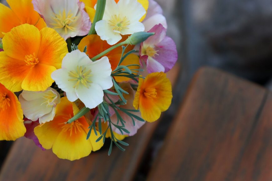 【ガーデニング】大人カワイイ春の花「多年草・一年草」おすすめ7選！切り花でも