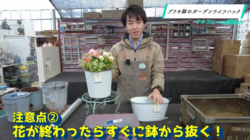 ブリキ鉢は花が終わったらすぐに抜く